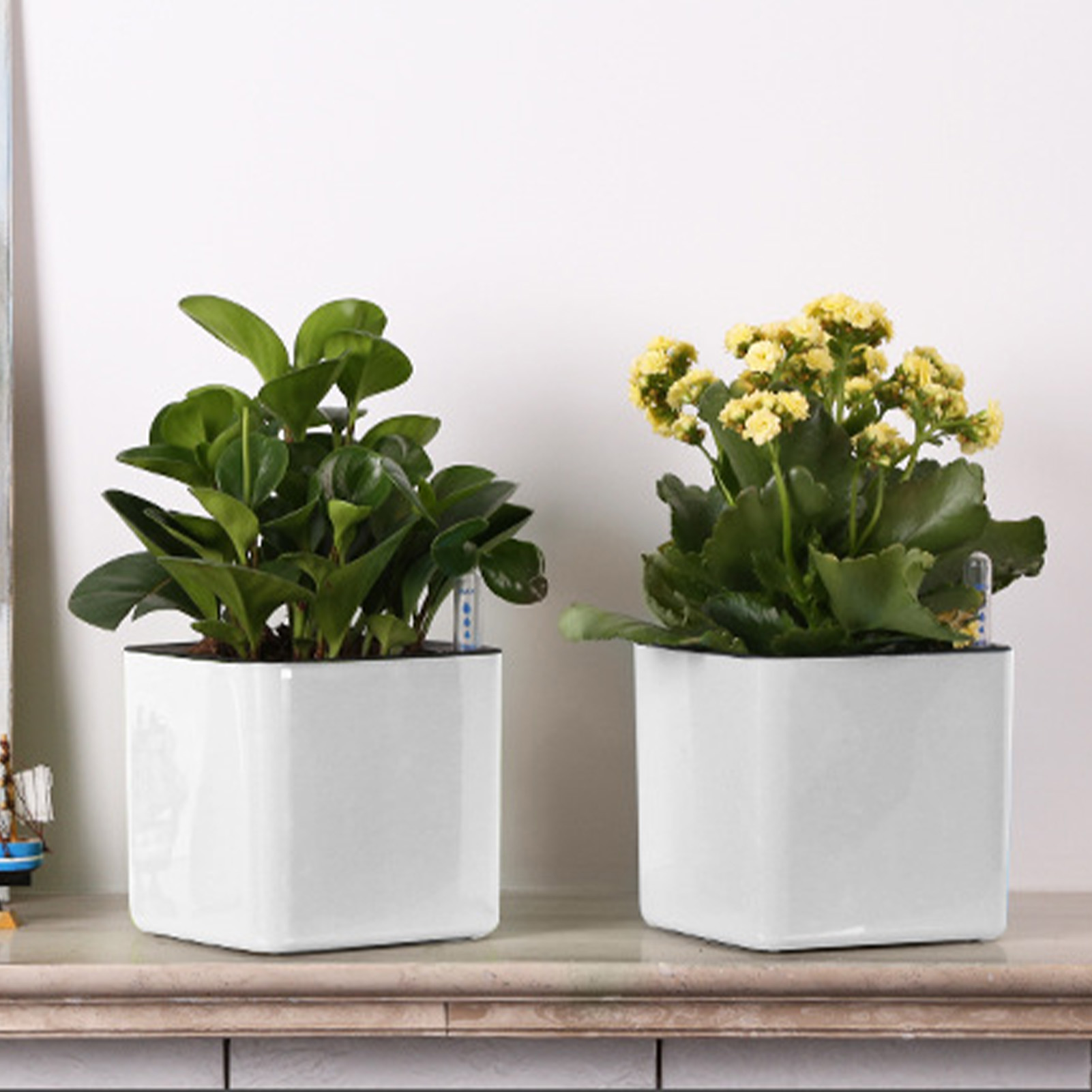 3 size Lazy flowerpot Green Pl - огляд і ціна Self Watering Insert