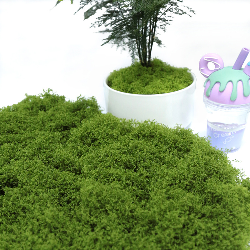 【P】50g Fake Moss DIY Crafts Gr - огляд і ціна Sphagnum Moss Dry