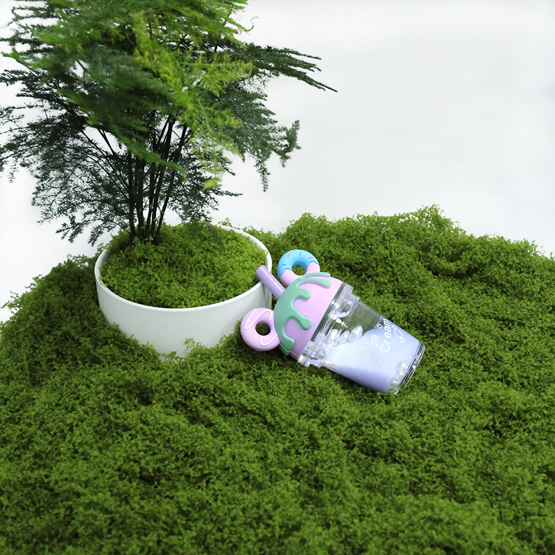 【P】50g Fake Moss DIY Crafts Gr - огляд і ціна Sphagnum Moss Dry