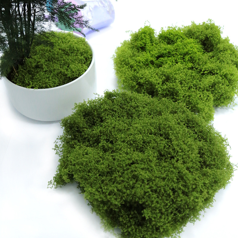 【P】50g Fake Moss DIY Crafts Gr - огляд і ціна Sphagnum Moss Dry